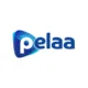 Logo image for Pelaa Casino