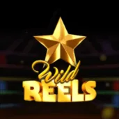 Logo image for Wild Reels