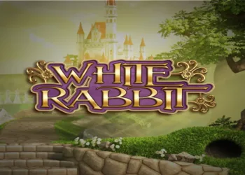 Image for White Rabbit